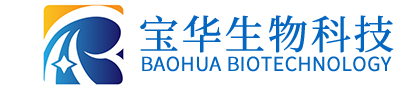 爱游戏在线登录官网-爱游戏（中国）
